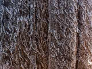 Old wood texture and Natural wood surface.Beautiful natural wooden background.