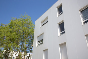 city building house in blue sky with single green tree