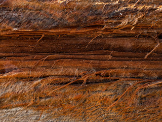 Abstract texture of old wood formed by time and nature. Wooden texture background