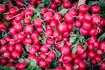 red radish on the market - pile of red radish -