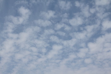 Obraz premium 푸른하늘