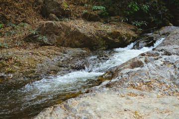 creek water stream waterfall flowing in forest