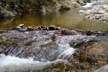 creek water stream waterfall flowing in forest
