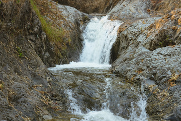Obraz premium creek water stream waterfall flowing in forest
