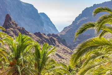 Fototapeta na wymiar Between the palm trees you have views of the rugged mountains around Masca and a small piece of the island of La Gomera, Tenerife, Spain