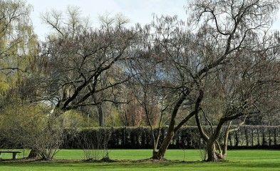 Obraz premium espace vert