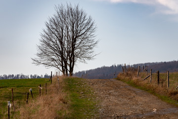 Zachód Słońca, Beskid Sądecki