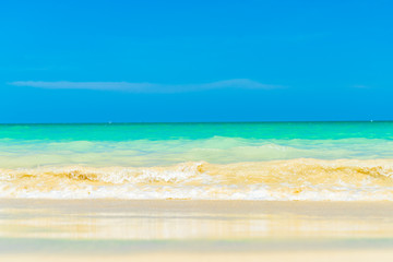 Fototapeta premium An Amazing tropical beach