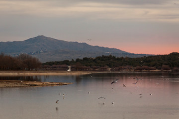 Sunset in the reservoir of Manzanares el Real, Madrid. Sierra de Guadarrama National Park