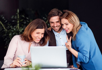 A group of business people sitting in an office, using laptop.