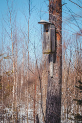 Birdhouse on a tree in forest Park, hand wood shelter for birds to spend the winter. Nature study trail in Paaskula (Pääsküla) bog. Estonia. Baltic..