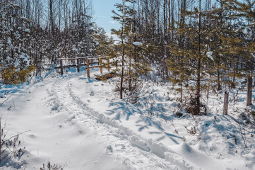 Snow covered wooden boardwalk and a bridge across a small river in mixted forest. Early spring landscape. Nature study trail in Paaskula (Pääsküla) bog. Estonia. Baltic.