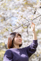 桜を鑑賞する女性