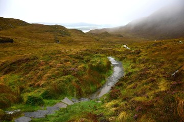 A pathway through the Connemara National Park in Ireland.