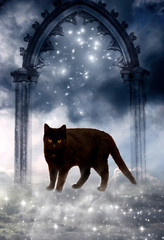 mystical black cat in mystic angel gate with stars like magic, magical and spiritual and fantasy 