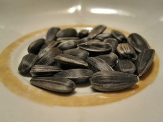 Roasted seeds on a white plate