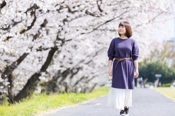 Obraz premium 桜並木を散歩する女性