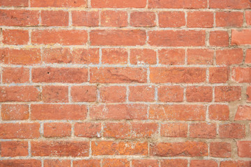 Fototapeta premium brick wall background. the texture of the retro bricks