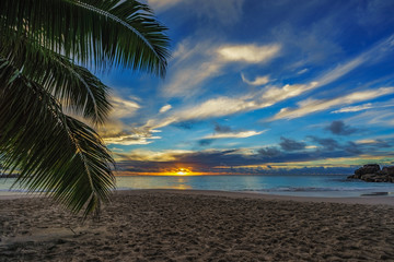 looking through palm leaf at sunset at anse georgette,praslin,seychelles 2