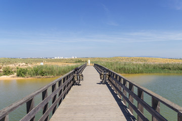 Views near Dos Salgados beach in Algarve (Portugal)