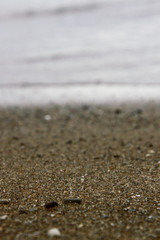 Fototapeta na wymiar Texture of yellow sea sand and sea water, horizon between sea and coast, blurred background