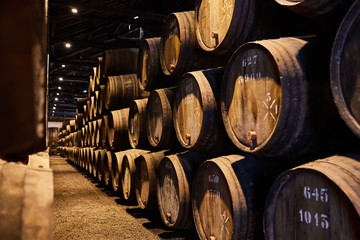 Old aged traditional wooden barrels with wine in a vault lined up in cool and dark cellar in Italy,...