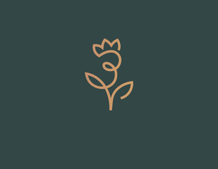 Creative linear logo icon plant flower