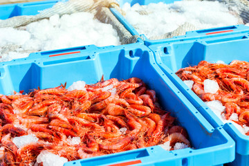Blue plastic containers with catch of sea Royal shrimps, ocean prawns delicacies. Fish auction for wholesalers and restaurants. Blanes, Spain, Costa Brava. Industrial catch of fresh seafood