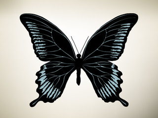 Butterfly. Vector illustration