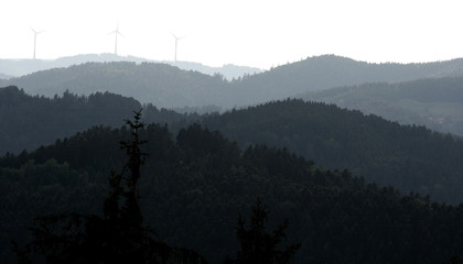 Schwarzwald