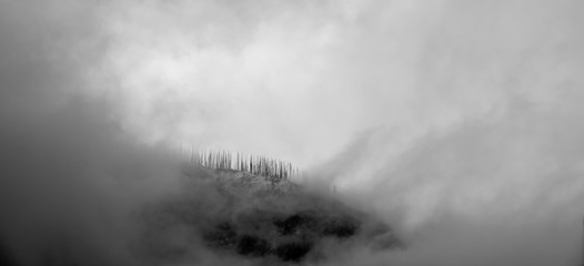 Distant Chopsticks by Fog