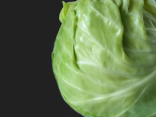 White cabbage on a dark background