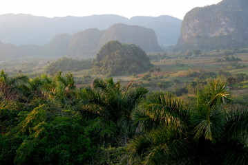 Vallée de Vinalès, paysage de fin de journée, palmiers et montagnes, Cuba, Caraïbes