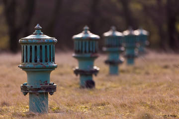 An abstract shot of multiple blue fire hydrants sitting in a field