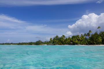 DRONE: Stunning shot from the air of paradise island landscape on a sunny day.