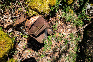 vieux bidon en fer dans la forêt