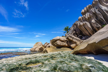 Coral reef and big granite rocks with palms at the beach of grand anse, la digue, seychelles 34