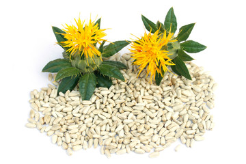 Safflower seeds. Carthamus tinctorius.