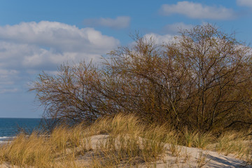 Usedom baltic sea sunny day beach