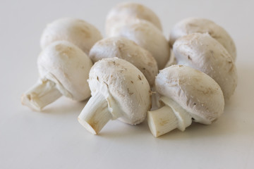 Champignon mushrooms fresh raw vegetarian food on table white background