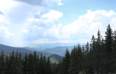 Beautiful landscape with forest and mountain slopes
