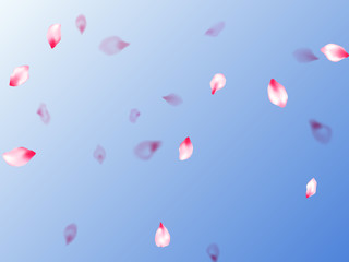 Spring tree flowers parts, airy flying petals