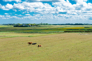 Nordfriesland-Westhever