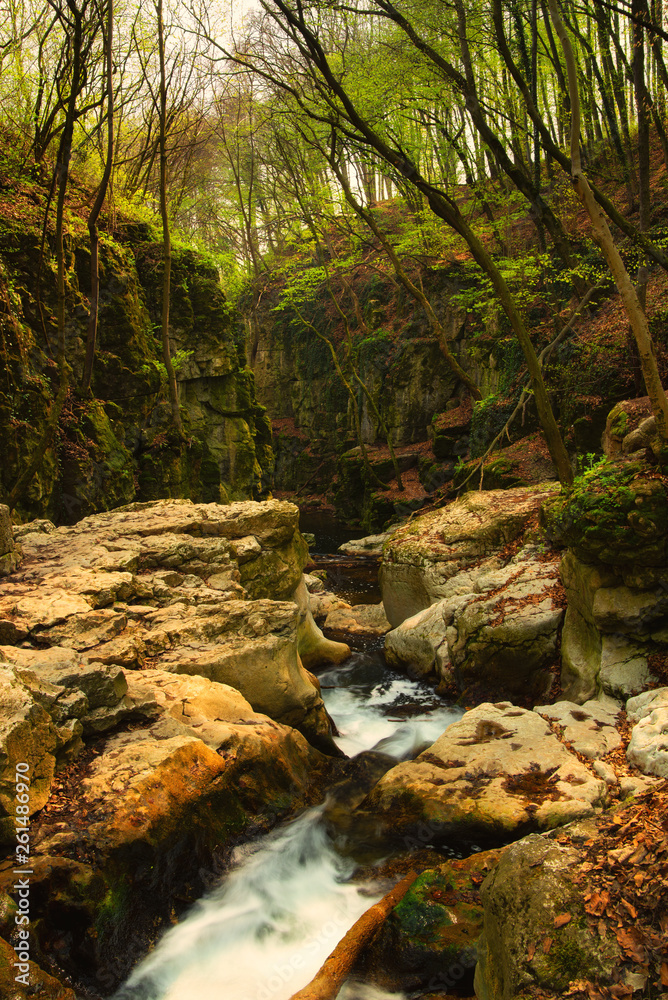 Canvas Prints the stream of water in the river flowing between the rocks in the mountains national park