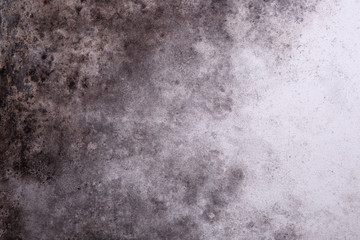 Gloomy grey wall with mold