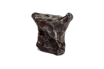 Macro stone mineral meteorite tektite on white background