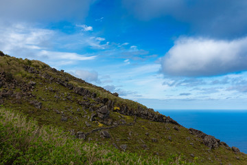 Fototapeta na wymiar Hill of farm fields in the Corvo island in Azores, Portugal.