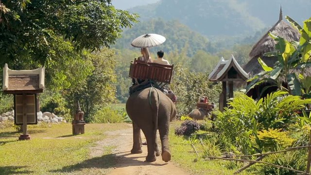 LUANG PRABANG, LAOS. Traditional trekking on the elephants in Southeast Asia. Man and woman enjoy slow ride across rural terrain.