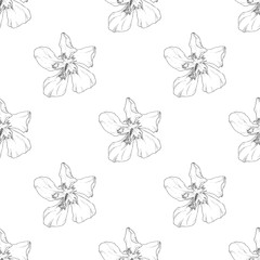Seamless pattern. Flower ink sketch. Template