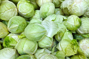 green cabbage  in box,  background. Fresh   cabbage variety grown in the shop. Tasty and healthy food